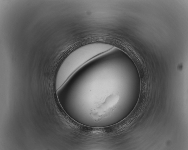 X0000096140505200801180855