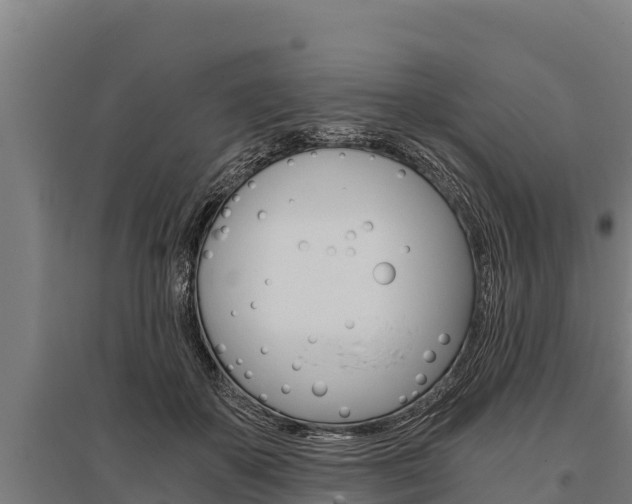 X0000096140507200801180855
