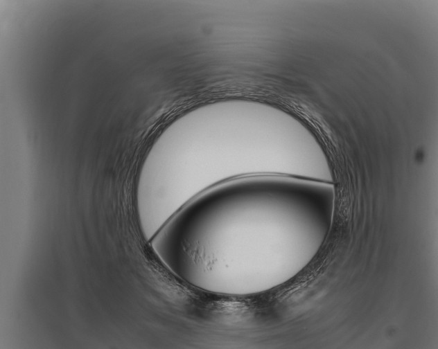 X0000096140509200801180855