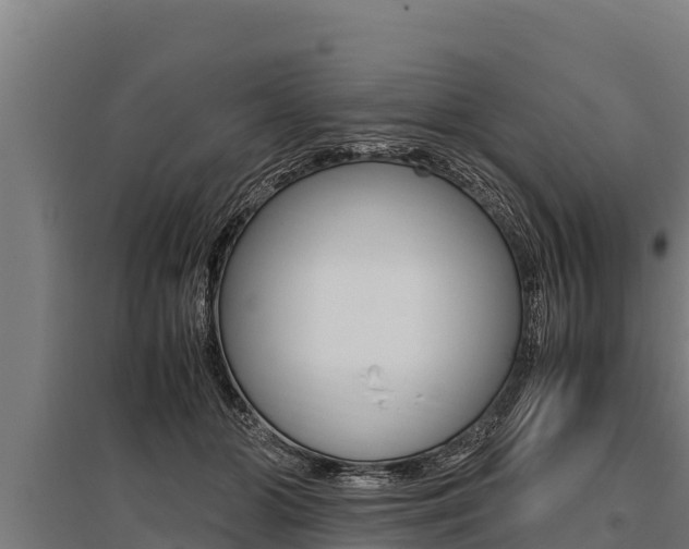 X0000096140510200801180855