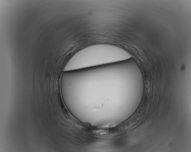 X0000096140511200801180855
