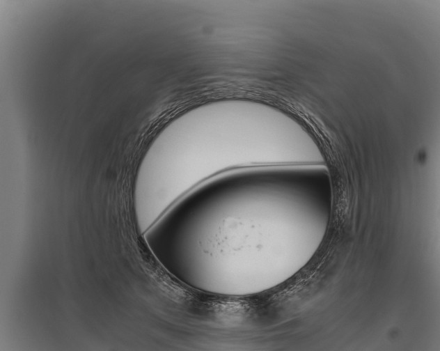 X0000096140513200801180854