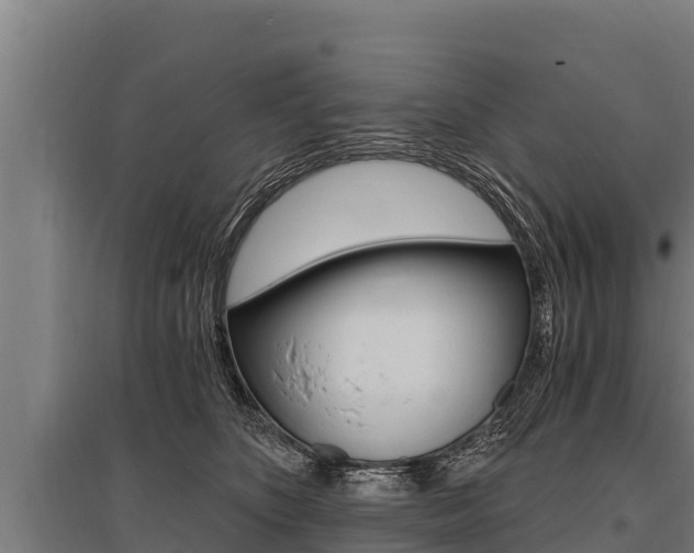 X0000096140516200801180854