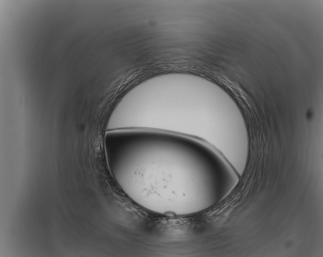 X0000096140517200801180854