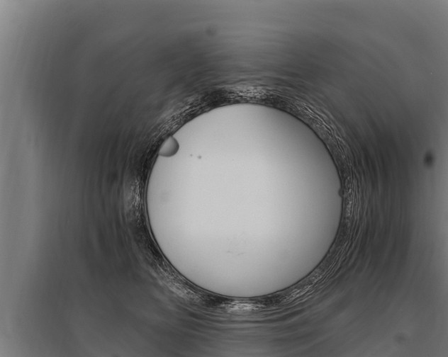 X0000096140518200801180854