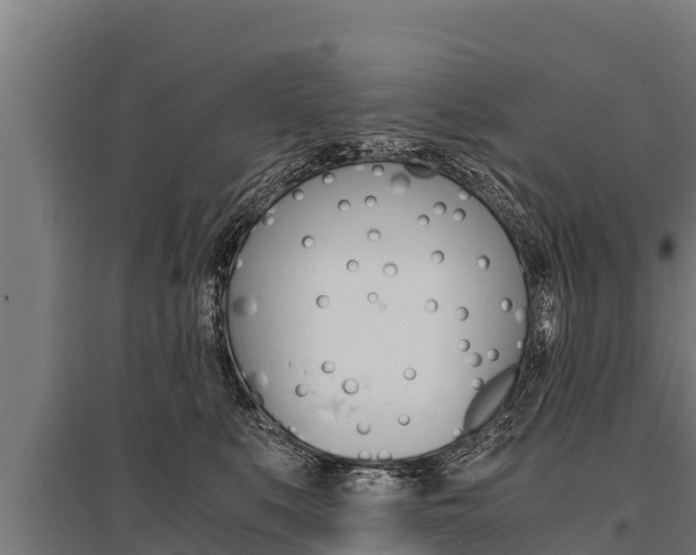 X0000096140519200801180854
