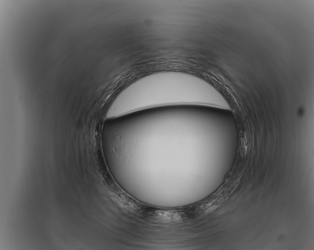 X0000096140520200801180854