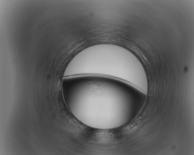 X0000096140521200801180854