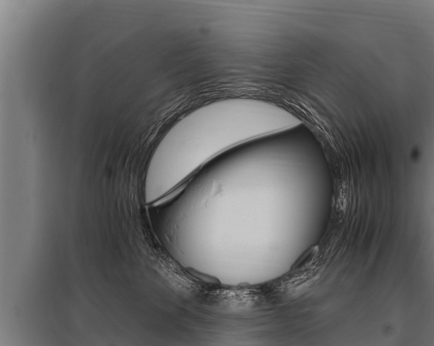 X0000096140524200801180854