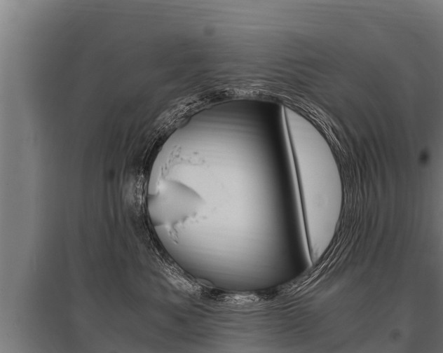 X0000096140525200801180854