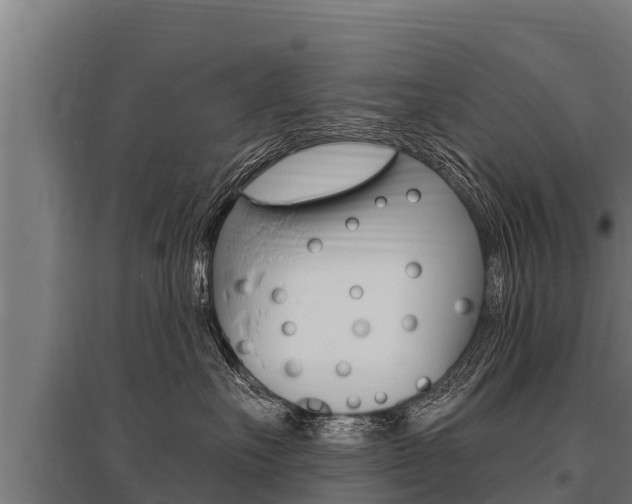 X0000096140527200801180854