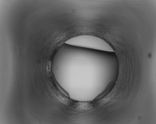X0000096140528200801180854