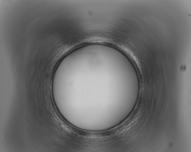 X0000096140529200801180854
