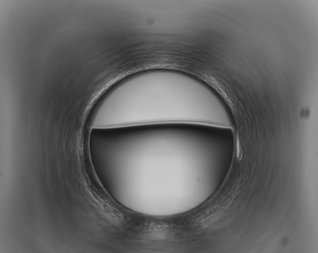 X0000096140531200801180854