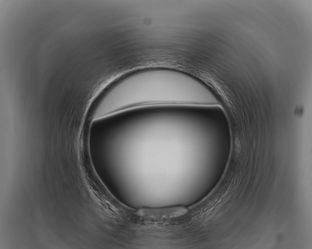 X0000096140532200801180854