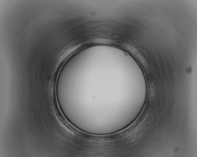 X0000096140533200801180854
