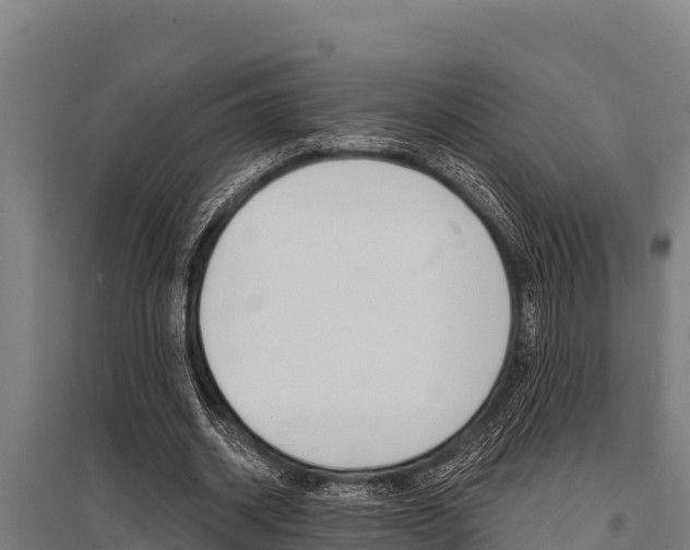 X0000096140534200801180854