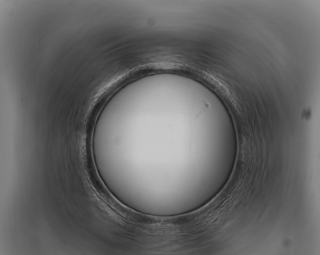 X0000096140535200801180854