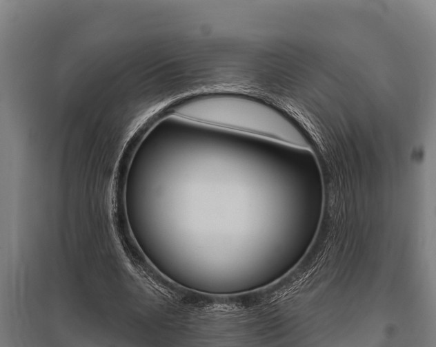 X0000096140536200801180854