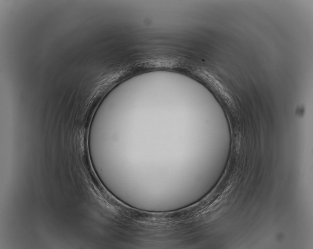 X0000096140537200801180854