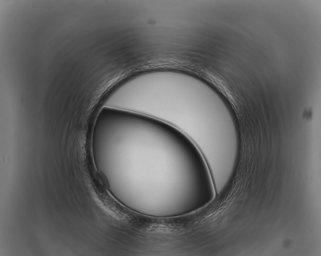 X0000096140538200801180854