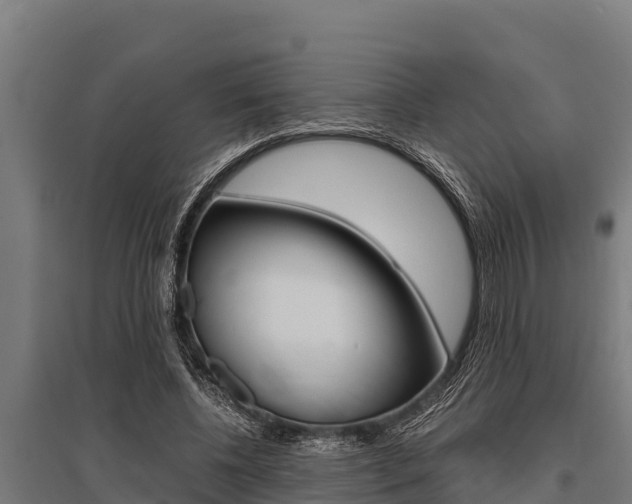 X0000096140540200801180854