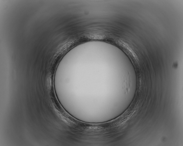 X0000096140541200801180854
