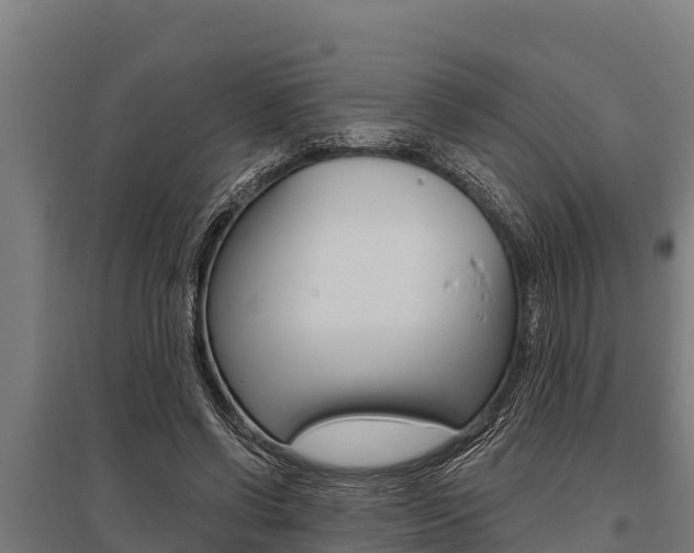 X0000096140542200801180854