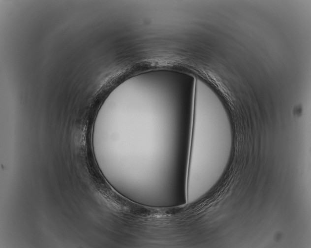 X0000096140543200801180854