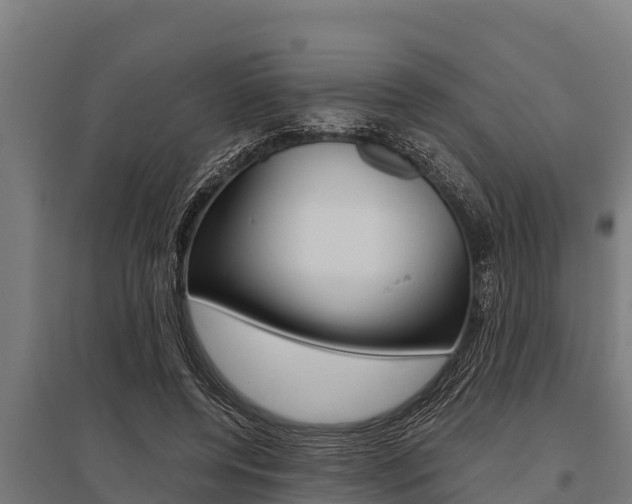 X0000096140544200801180854