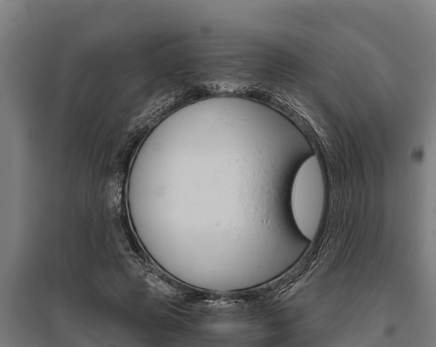 X0000096140545200801180854