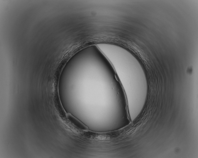 X0000096140546200801180854