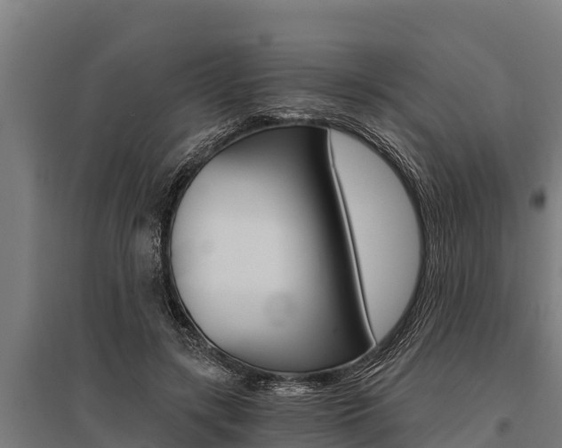 X0000096140547200801180854