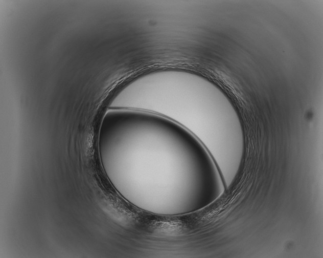 X0000096140548200801180854