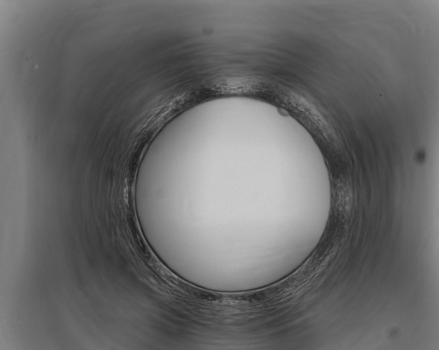 X0000096140549200801180854