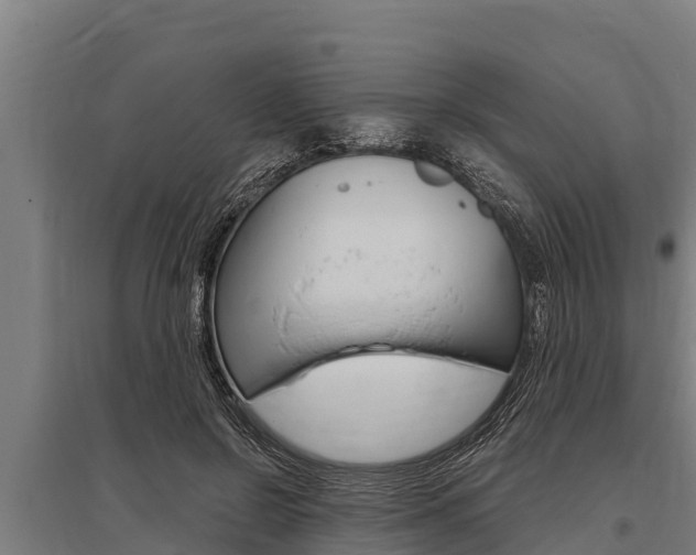 X0000096140550200801180854