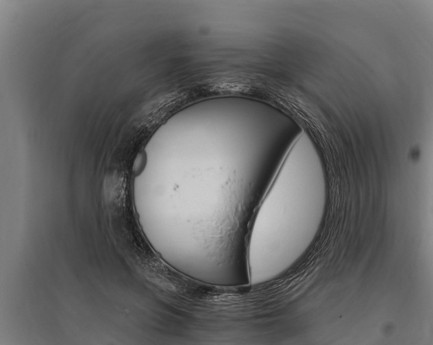 X0000096140551200801180854