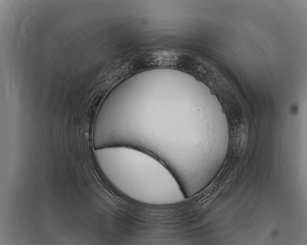 X0000096140553200801180854