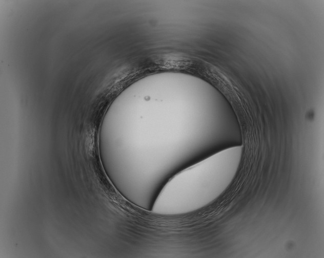 X0000096140554200801180854