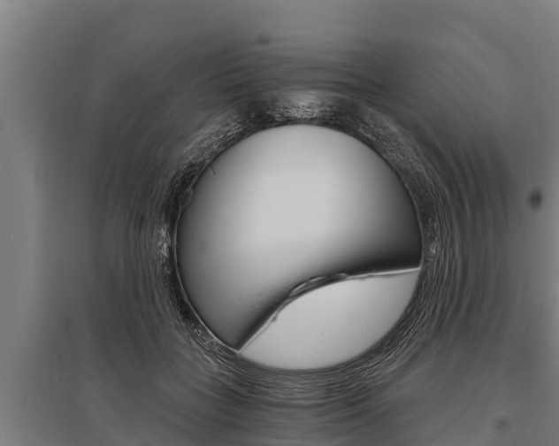 X0000096140555200801180854