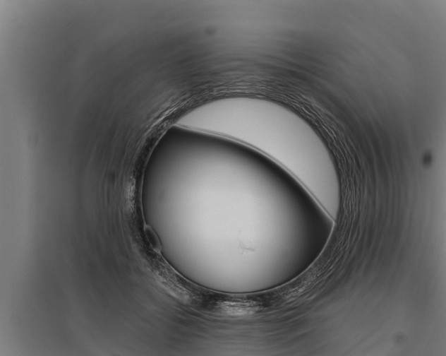 X0000096140556200801180854