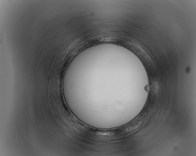 X0000096140557200801180854