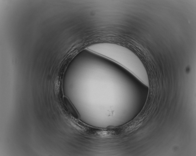X0000096140558200801180854