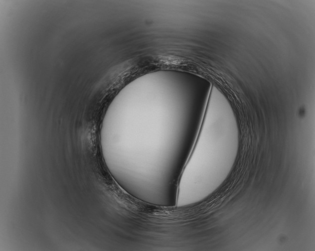 X0000096140559200801180854