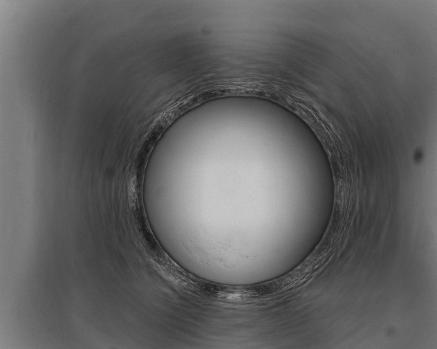 X0000096140564200801180854