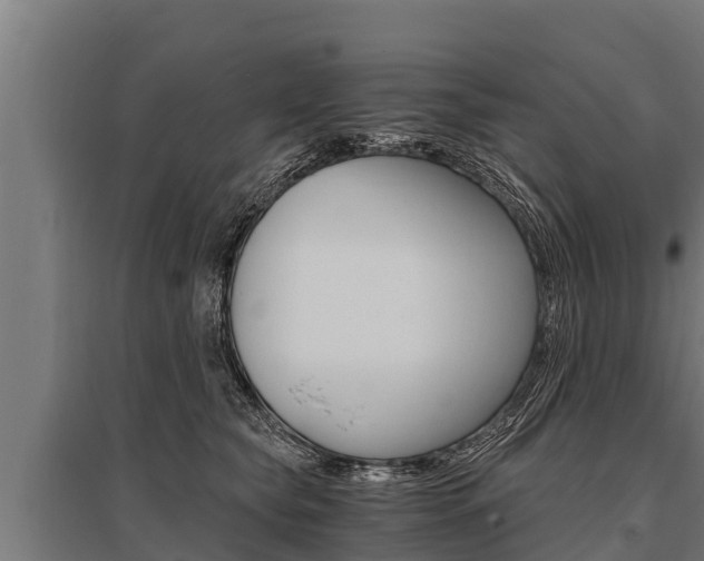 X0000096140565200801180854