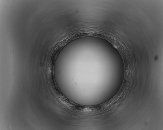 X0000096140566200801180854