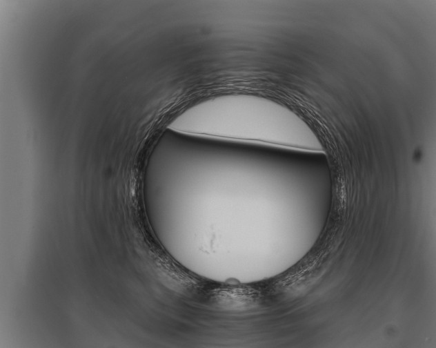 X0000096140567200801180854