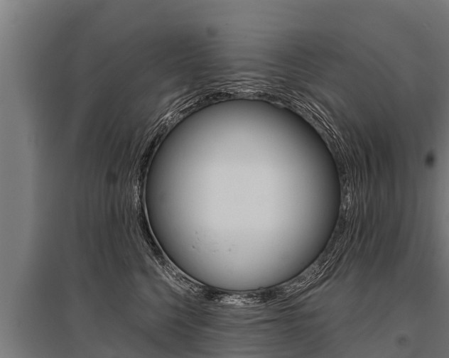 X0000096140568200801180854