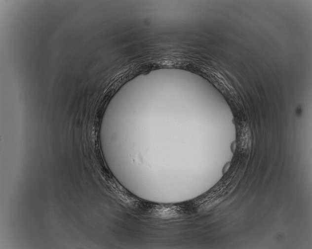 X0000096140569200801180854